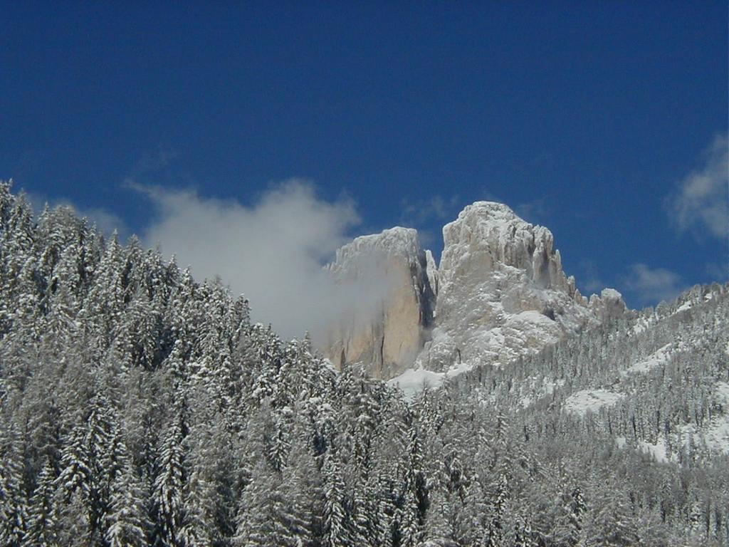 Apartmán Col Rodella Campitello di Fassa Pokoj fotografie